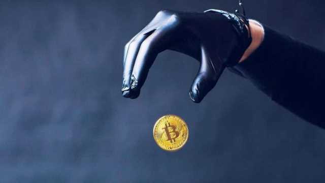 fantom wallet coin holder