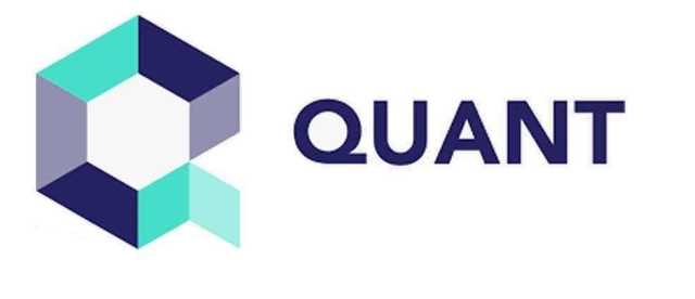 quant coin buy