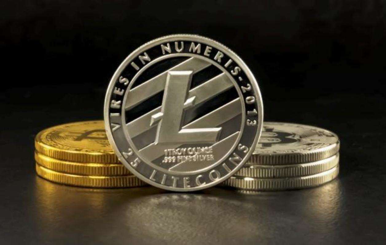 how to buy vidt